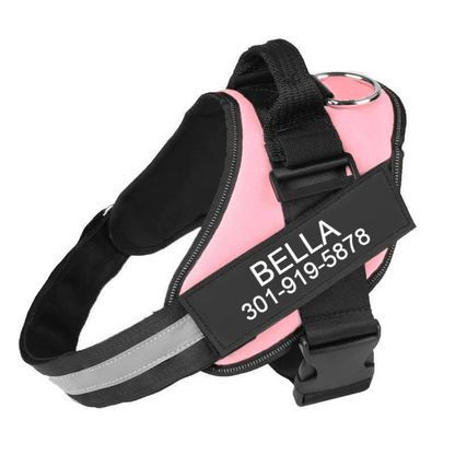 AXORA™   - CUSTOM FIT NO-PULL DOG HARNESS