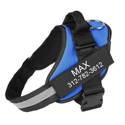 AXORA™   - CUSTOM FIT NO-PULL DOG HARNESS