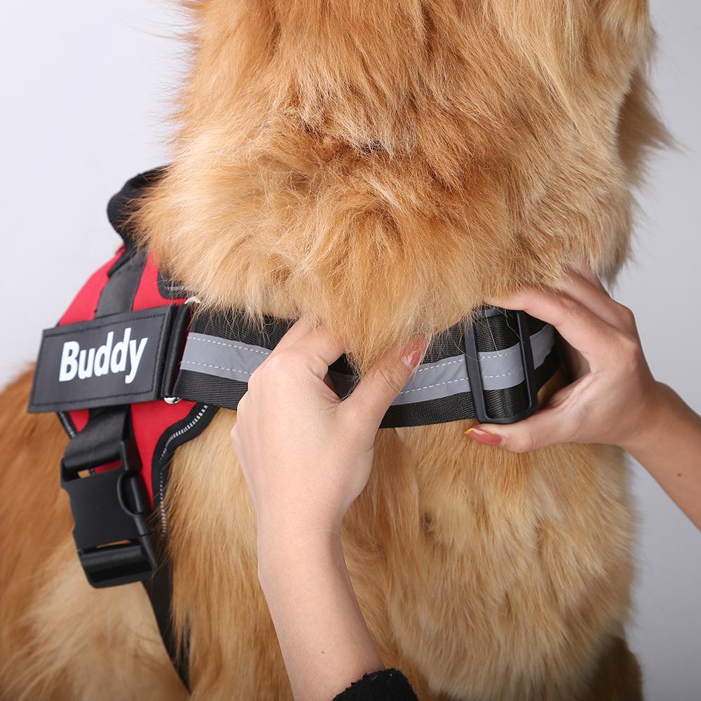 AXORA™   - CUSTOM FIT NO-PULL DOG HARNESS