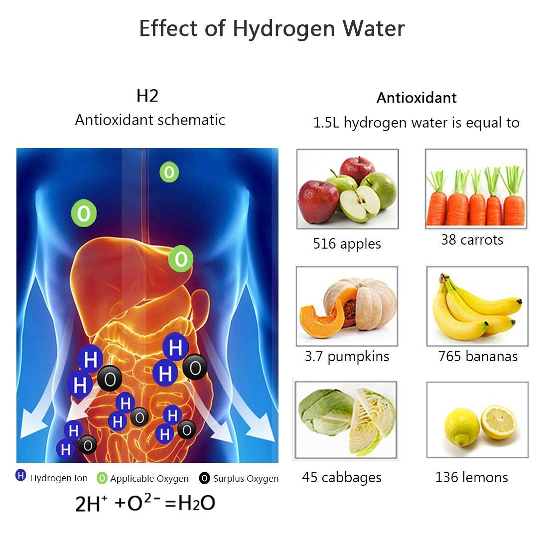 AXORA™   - HYDROGEN WATER BOTTLE